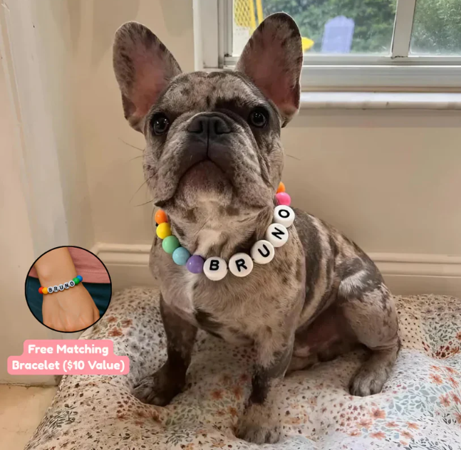 BFF Dog Collar + Free Matching Bracelet