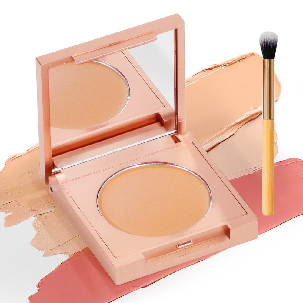 Undereye Corrector Concealer and Free Brush