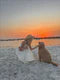 files/Review_PFP_3_80x80_310024cc-308e-4d47-82df-0afe7e3cd5d3.webp