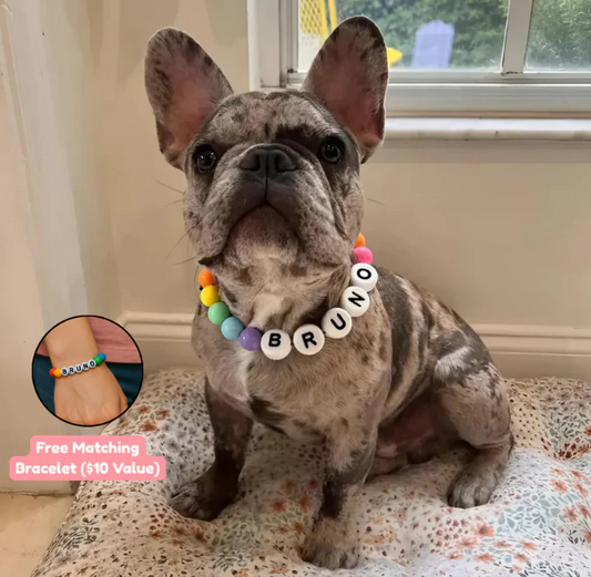 BFF Dog Collar + Free Matching Bracelet