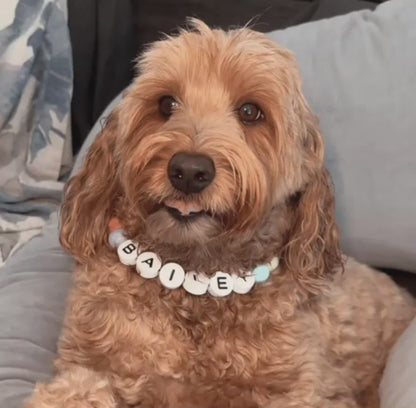BFF Dog Collar + Free Matching Bracelet